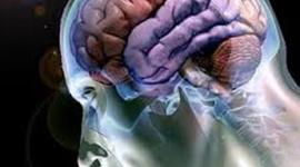 Timeline: Los inventos mas trascendentales