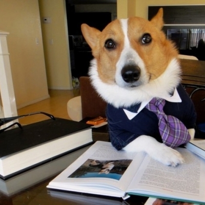 Timeline: tilkap refi