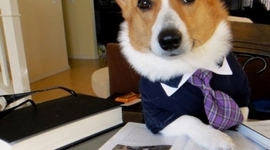 Timeline: tilkap refi