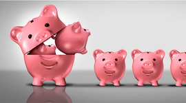 Timeline: Calendario para la integración del presupuesto de egresos de la federación