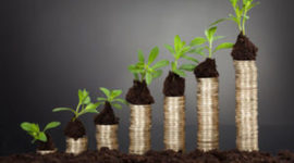 Timeline: Calendario para la Integración del Presupuesto de Egresos de la Federación