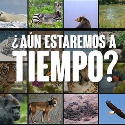 Timeline: Las batallas perdidas del mundo animal