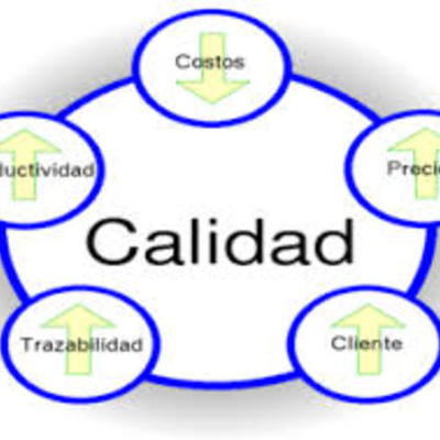 Timeline: Antecedentes de la Calidad