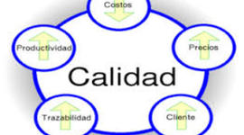 Timeline: Antecedentes de la Calidad