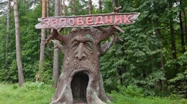 Timeline: История охраны окружающей среды (Открытие заповедников)