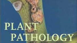 Timeline: 10 Eventos de la fitopatología