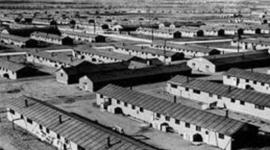 Timeline: Internment Camps