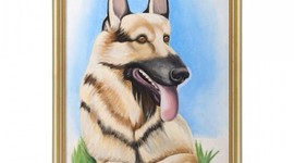 Timeline: Years of Crisis R.DeMedio