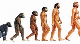 Timeline: La evolución de los homínidos