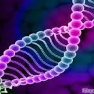 Timeline: Historia de la genética