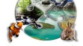 Timeline: Экологический календарь на 2017 год