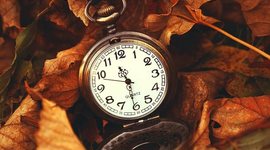 Timeline: Охрана окружающей среды