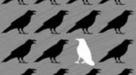 Timeline: Karl Popper (1902-1994)