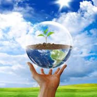 Timeline: Истории охраны окружающей среды