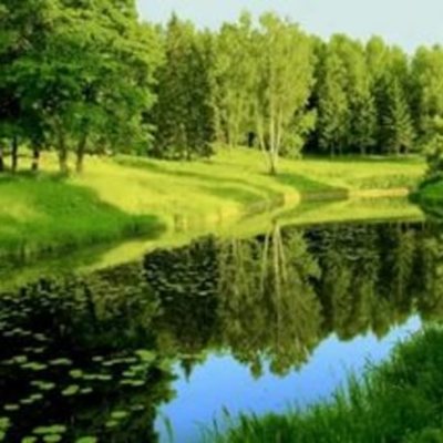 Timeline: 10 значимых событий в истории охраны природы