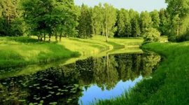 Timeline: 10 значимых событий в истории охраны природы