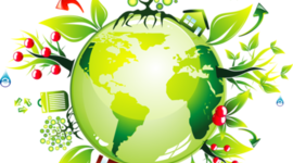 Timeline: Лента времени "История охраны окружающей среды"