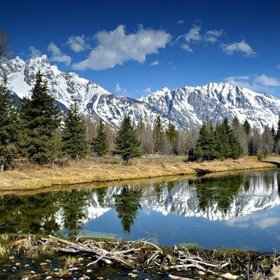 Timeline: История фотографии