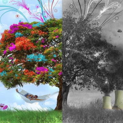 Timeline: 10 событий по истории охраны окружающей среды.