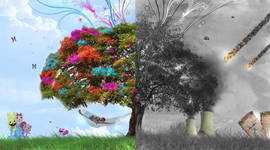 Timeline: 10 событий по истории охраны окружающей среды.