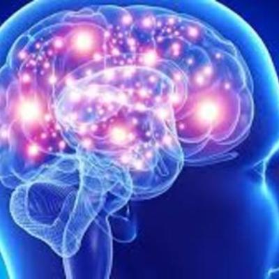 Timeline: Neuroplasticidad