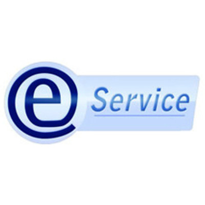 Timeline: Evolución de los e-Services