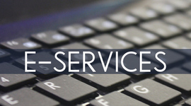 Timeline: E-Services