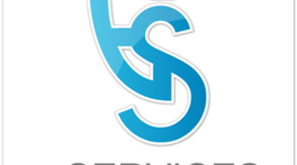 Timeline: Evolución de los "e-servicios" y sus diferentes expresiones.