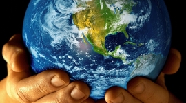 Timeline: 10 событий в историй охраны окружающей среды