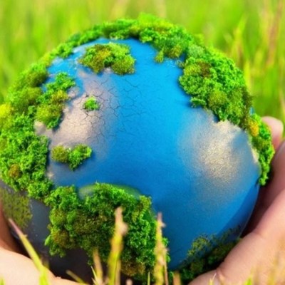 Timeline: 10 событий, значимых в истории охраны окружающей среды.