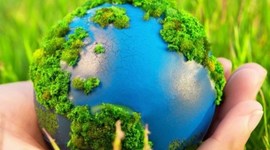 Timeline: 10 событий, значимых в истории охраны окружающей среды.