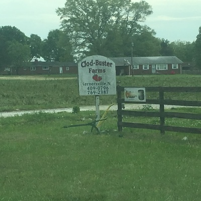 Timeline: Preparing For Strawberry Season