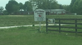 Timeline: Preparing For Strawberry Season