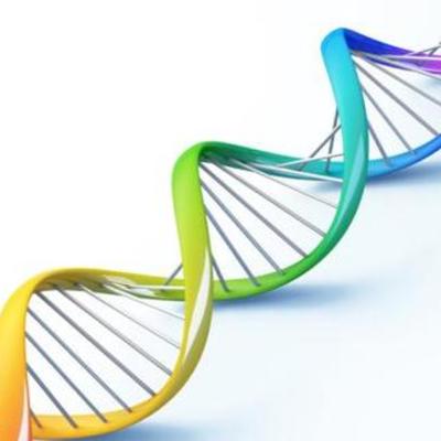Timeline: El ADN y su historia