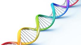 Timeline: El ADN y su historia