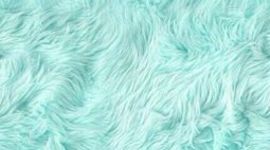 Timeline: Línea de tiempo