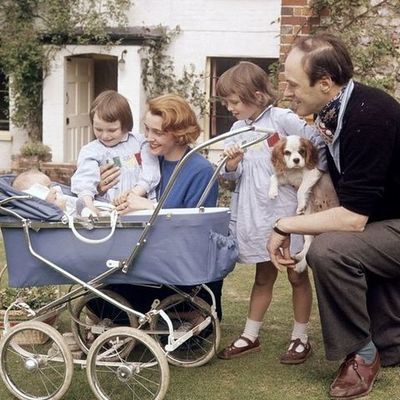 Timeline: Having work, home, wife, children and a pet.