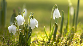 Timeline: Kooli ja Eesti lugu
