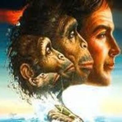 Timeline: as origens