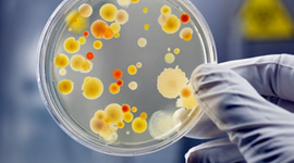 Timeline: Historia de la microbiología