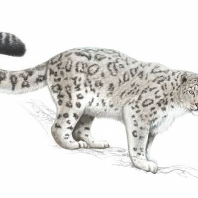 Timeline: 10 событий в истории охраны окружающей среды.