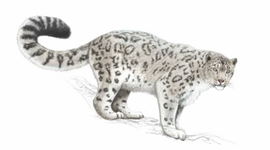 Timeline: 10 событий в истории охраны окружающей среды.