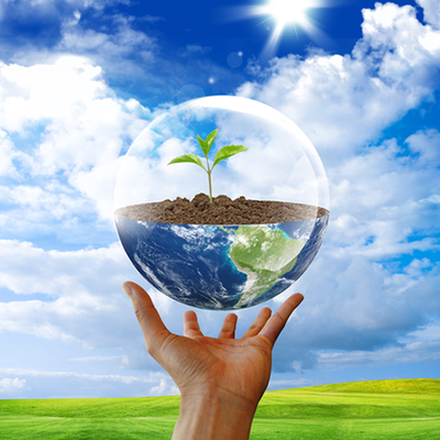 Timeline: 10 событий в истории охраны окружающей среды