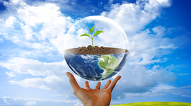 Timeline: 10 событий в истории охраны окружающей среды