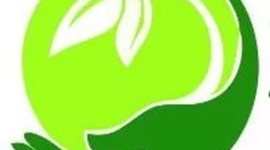 Timeline: Значимые события в истории охраны окружающей среды.