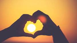 Timeline: My timeline - PAPA