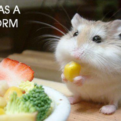 Timeline: Industrial :)