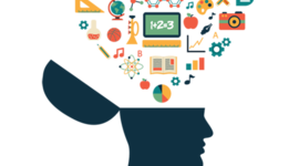 Timeline: Evolución Historica GESTIÓN DEL CONOCIMIENTO