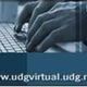 Udgvirtual