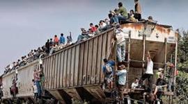 Timeline: La migración